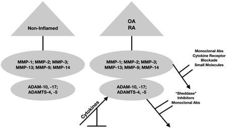 graphic file with name nihms-1524373-f0001.jpg