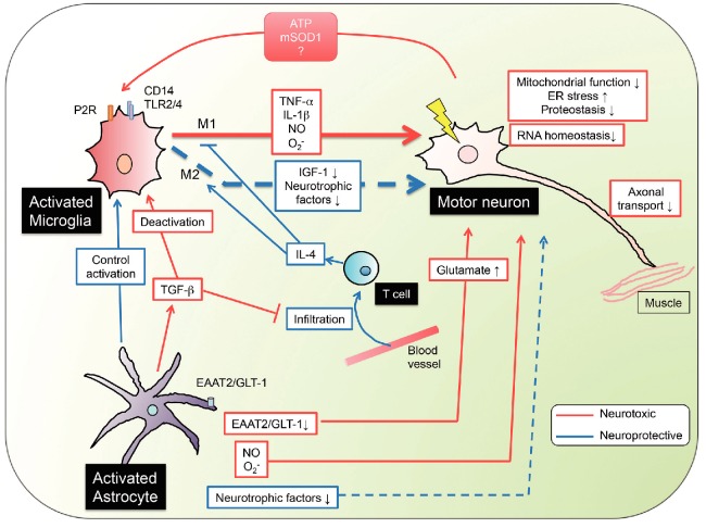 Fig. 2