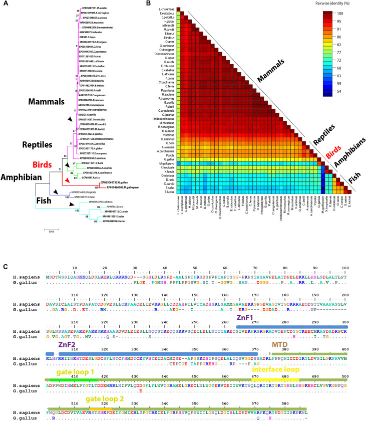 FIGURE 2