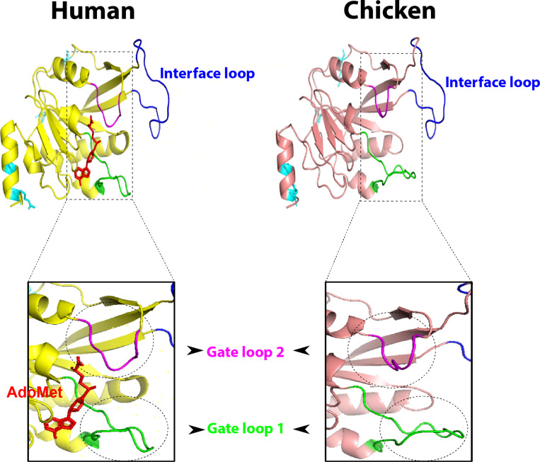 FIGURE 3