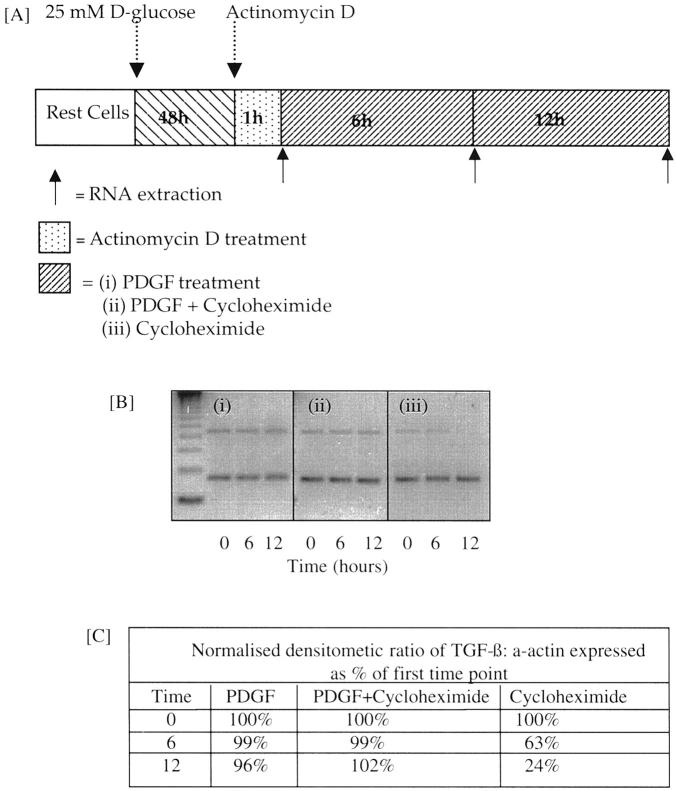 Figure 11.