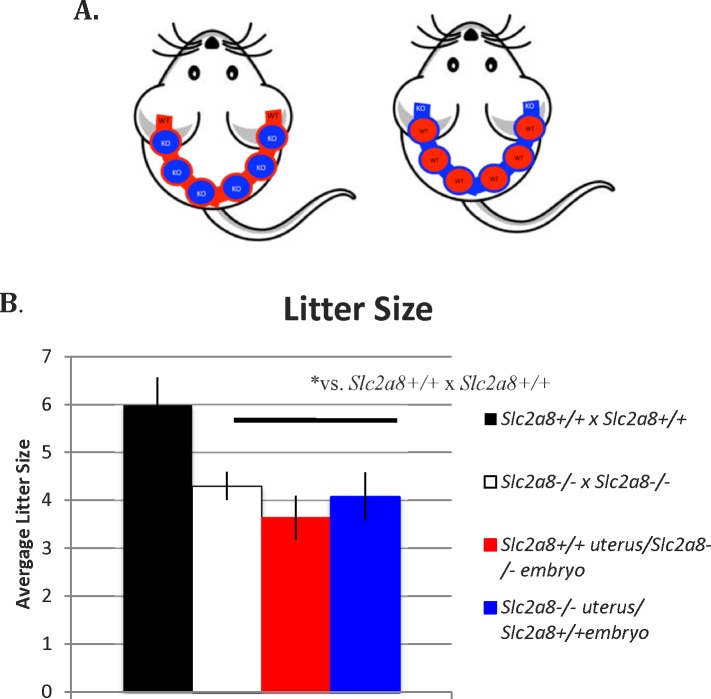 FIG. 6. 