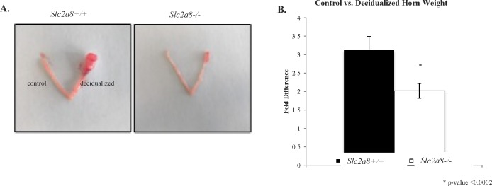 FIG. 5. 