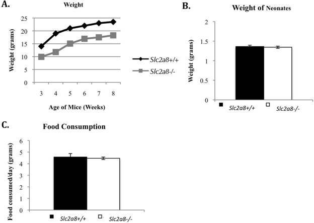 FIG. 7. 