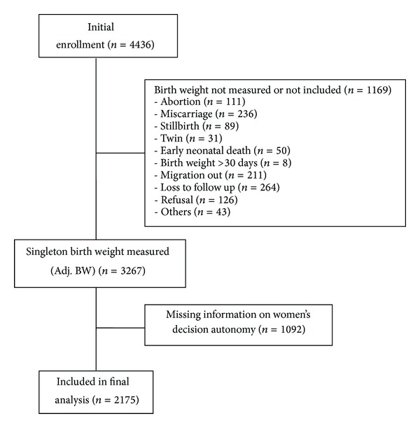 Figure 1