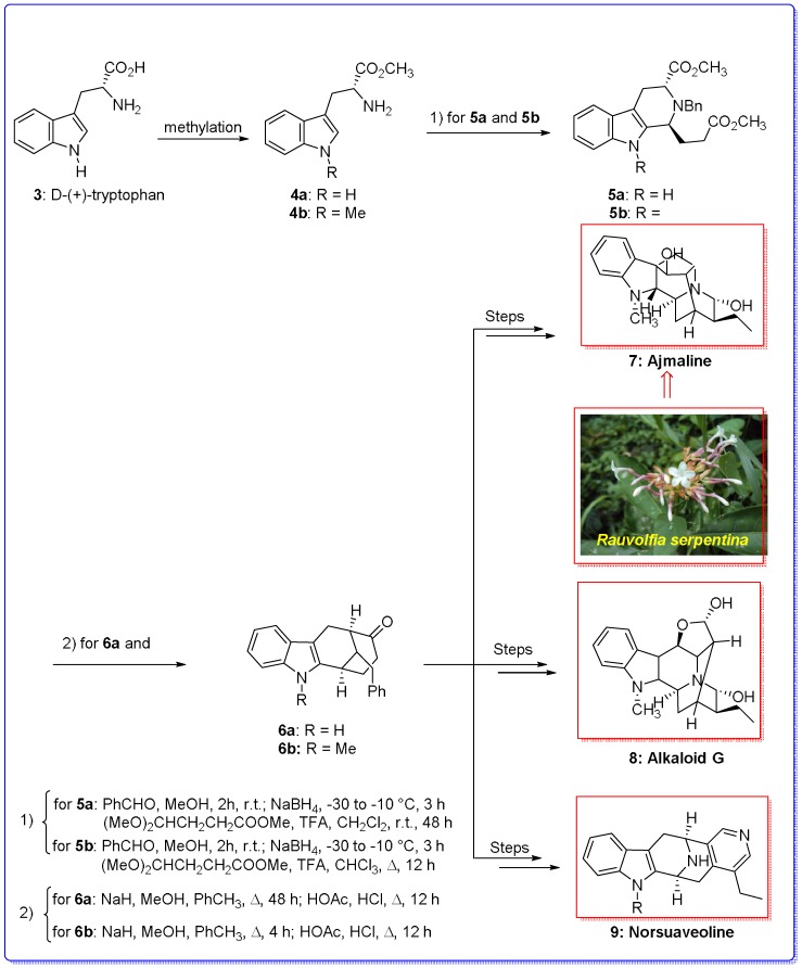 Scheme 2