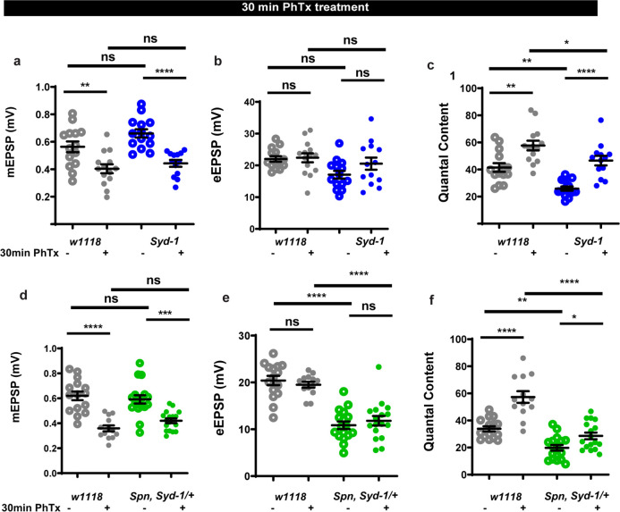 Figure 2—figure supplement 1.