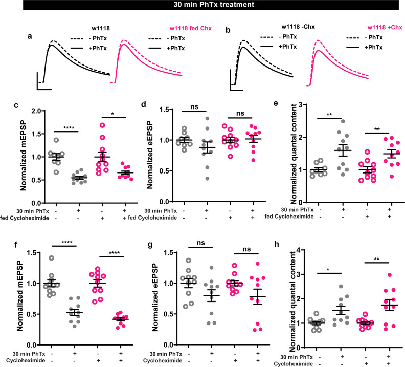 Figure 3—figure supplement 1.