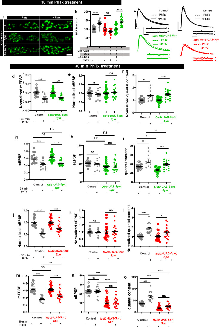 Figure 1—figure supplement 2.