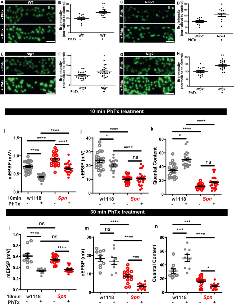 Figure 1—figure supplement 1.