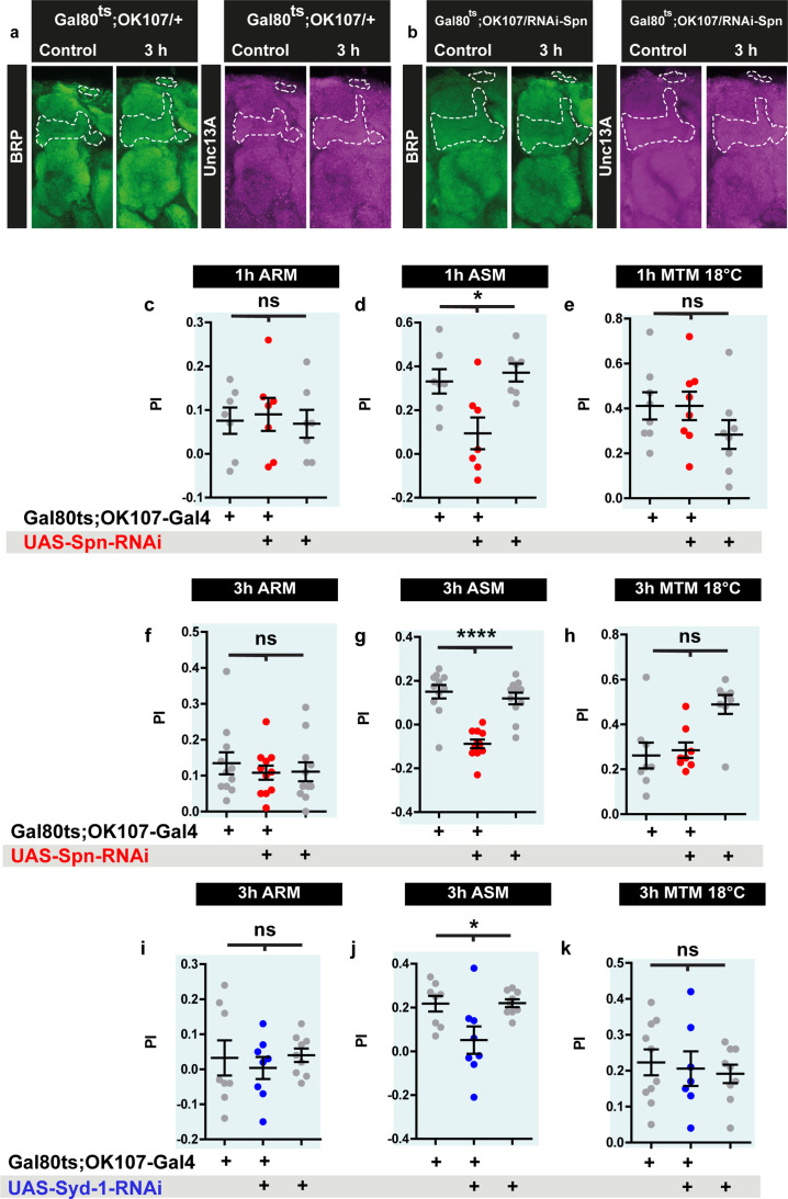 Figure 7—figure supplement 1.