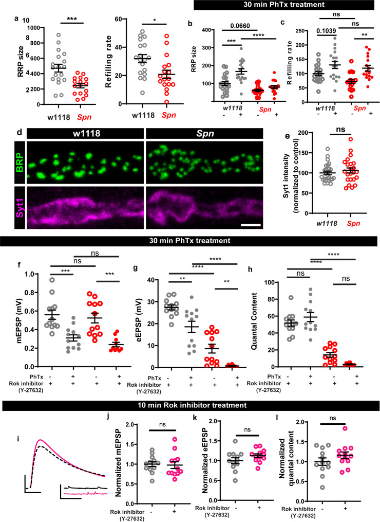 Figure 6—figure supplement 1.