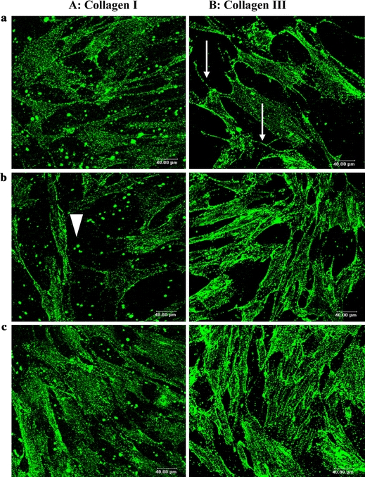 FIGURE 6.