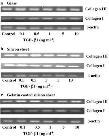 FIGURE 4.