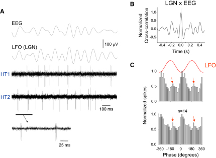 Figure 1