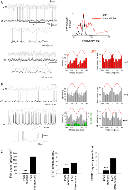 Figure 6