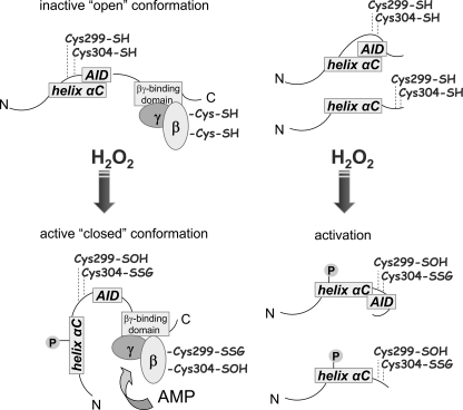 FIGURE 10.