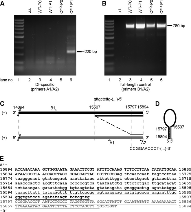 FIG 8