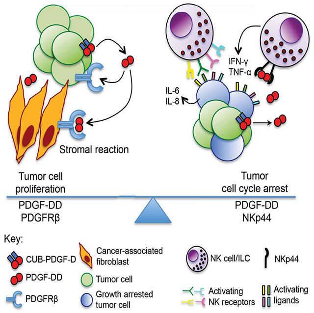 graphic file with name nihms-1533652-f0008.jpg