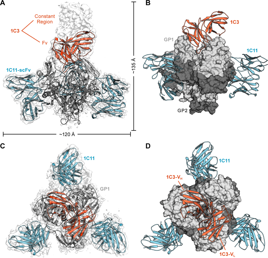 Figure 2.