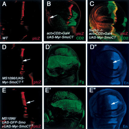 Figure 4.