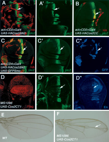 Figure 6.