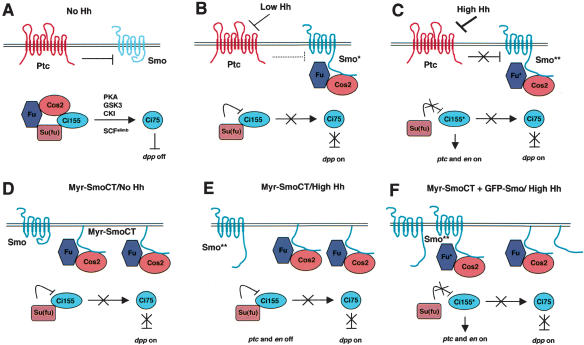 Figure 7.