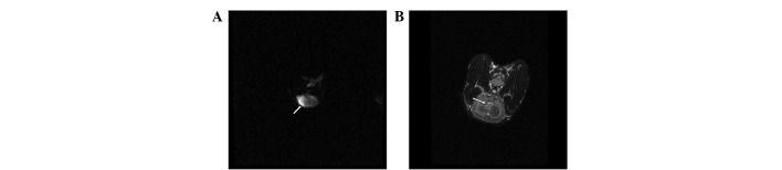 Figure 3.