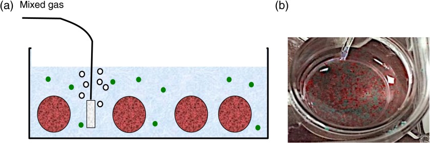 Fig. 3