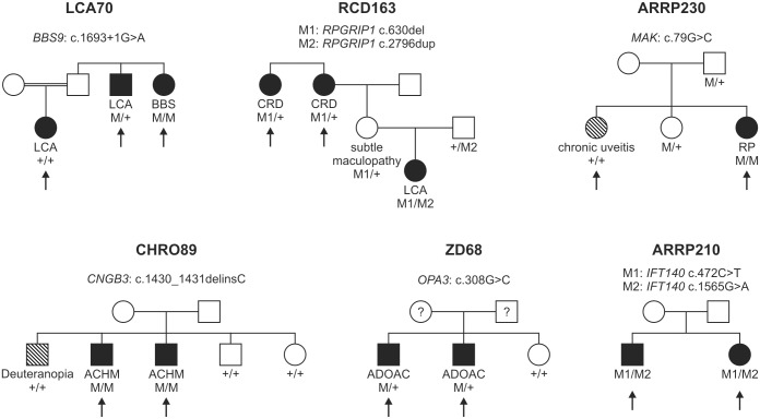 Fig 1