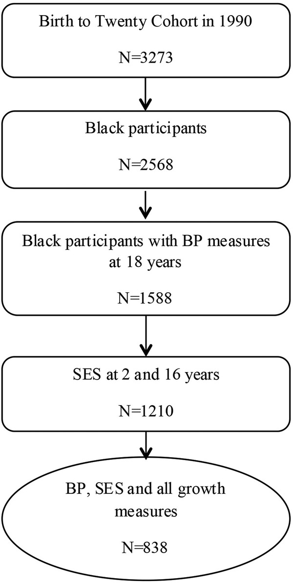 Figure 1