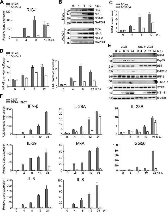 FIG 3