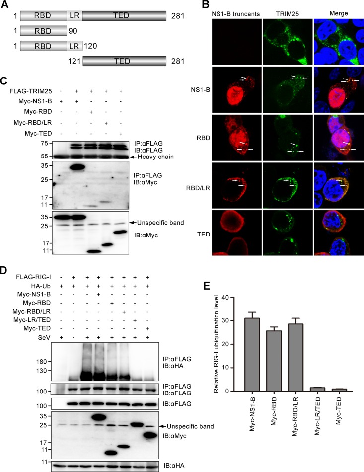 FIG 6