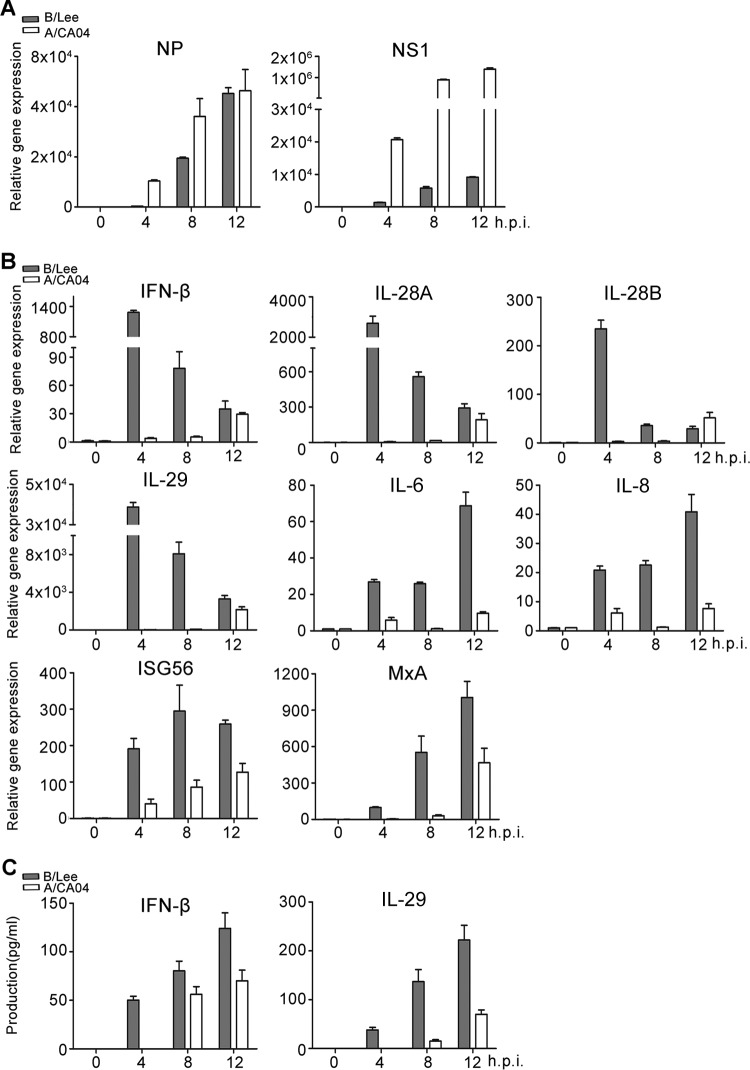 FIG 2