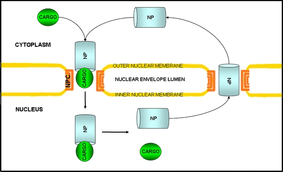 Fig. 2