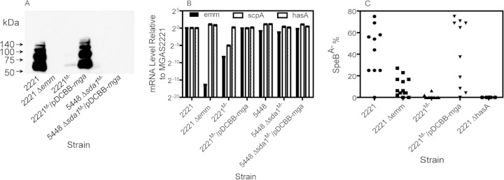 FIG 5