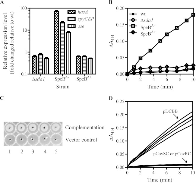 FIG 6