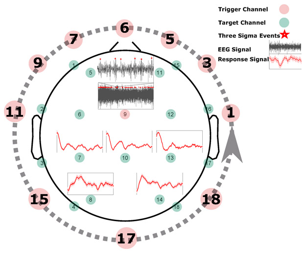 Figure 2: