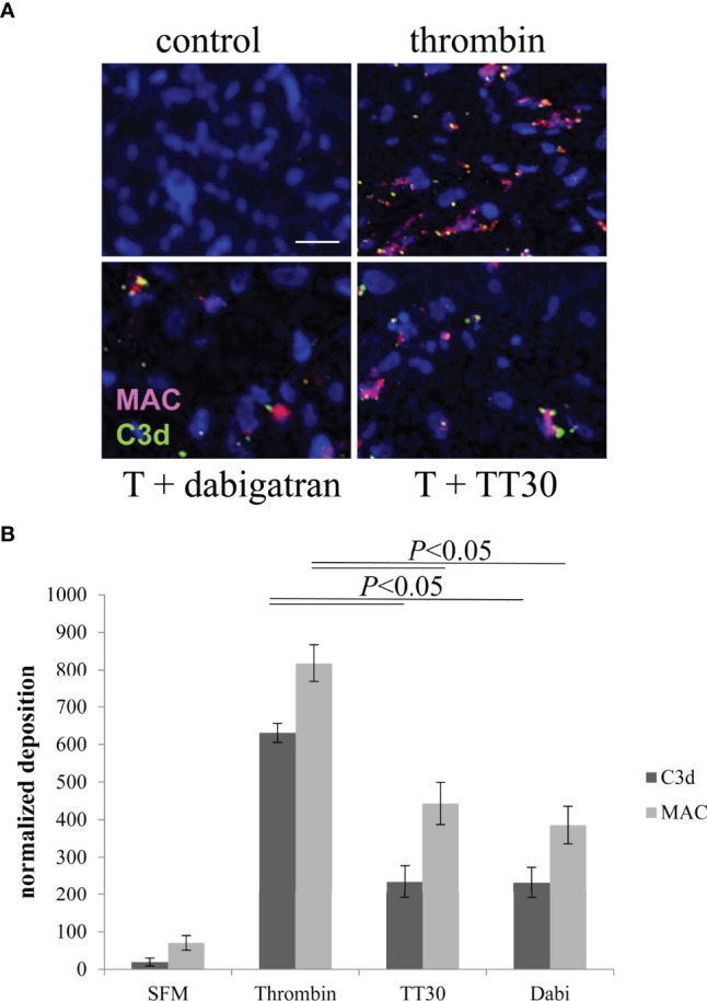 Figure 4