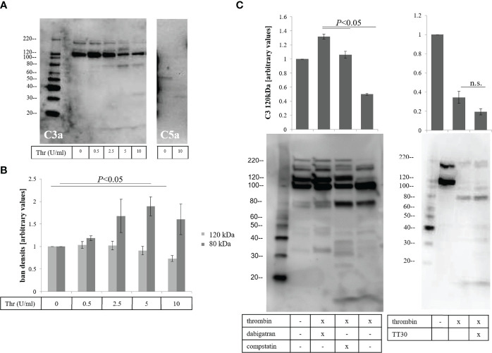 Figure 5