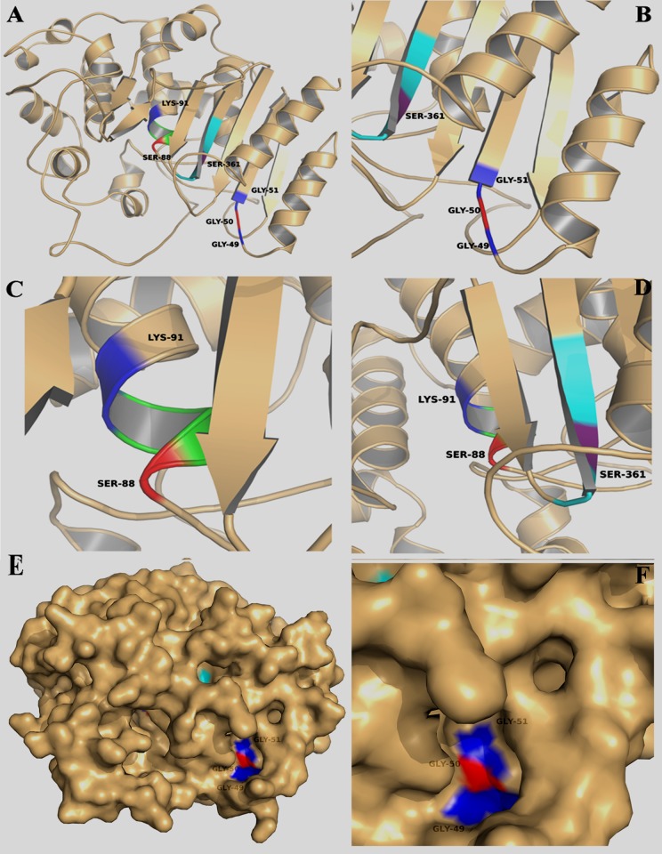 Fig 4