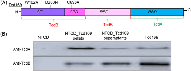 FIG 1