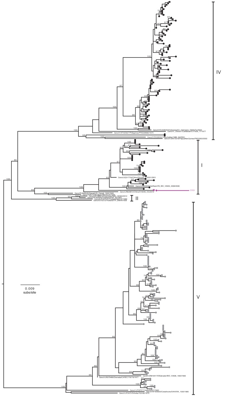 Figure 2—figure supplement 1.