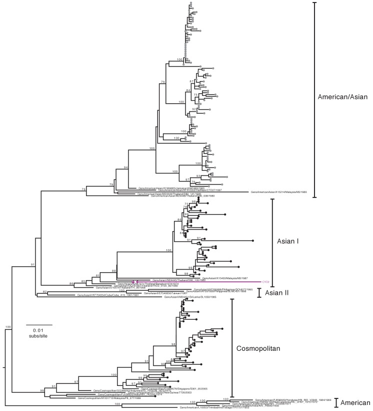 Figure 2—figure supplement 2.