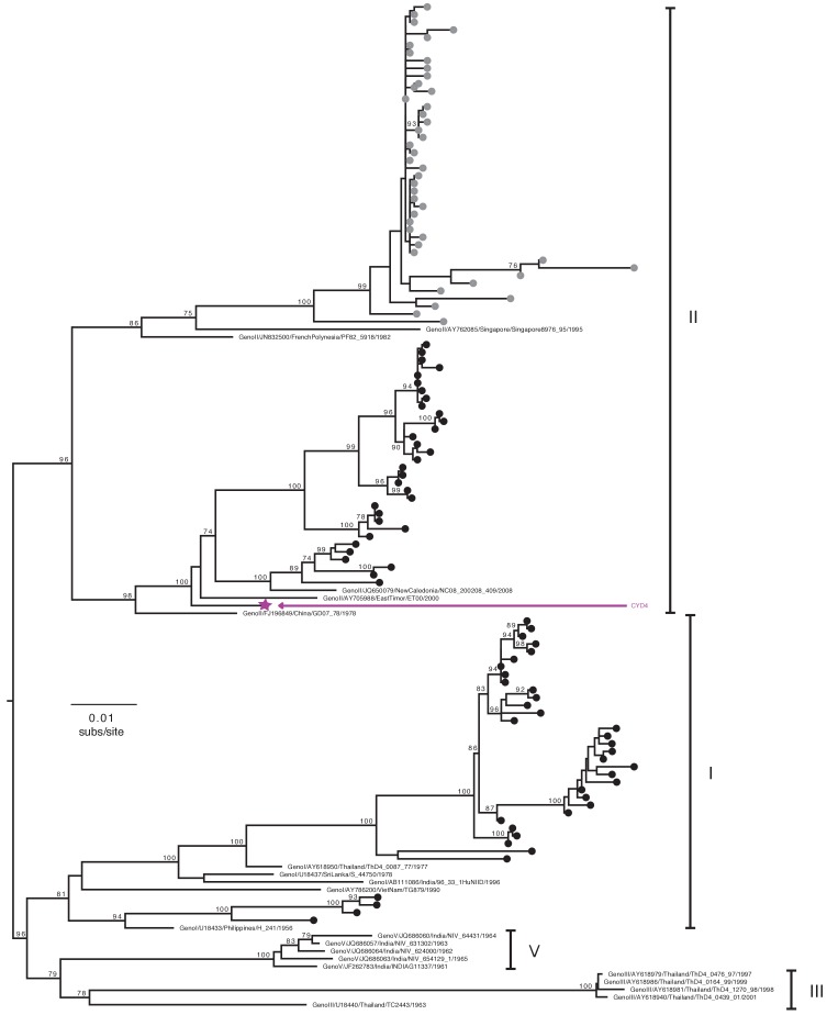 Figure 2—figure supplement 4.