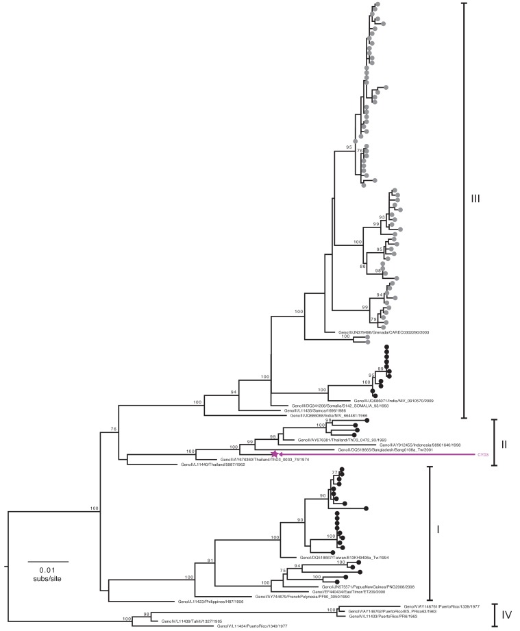 Figure 2—figure supplement 3.