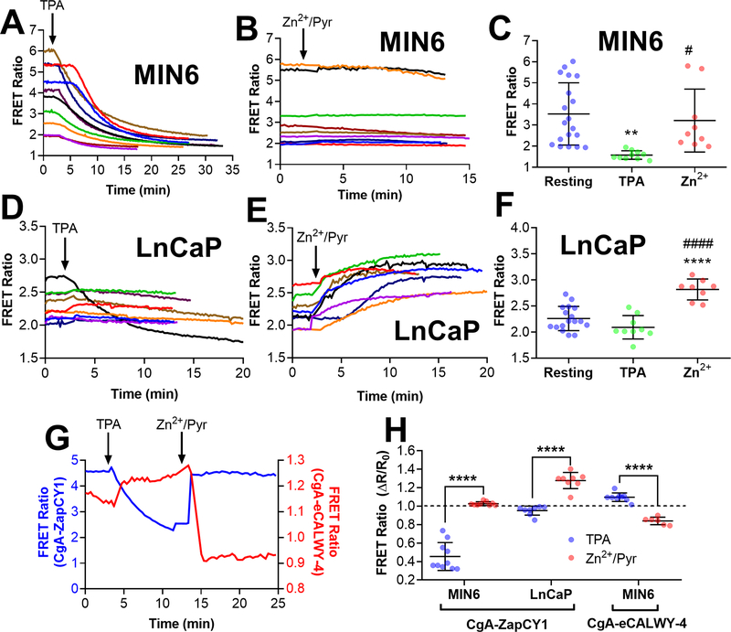 Figure 6: