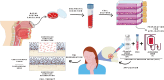Graphical Abstract
