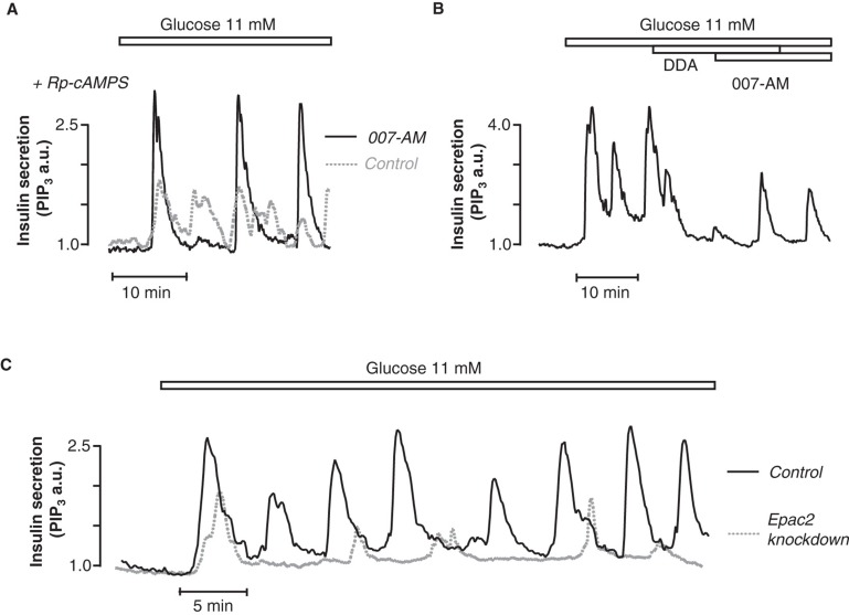 Figure 5.