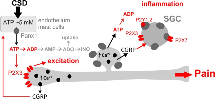 Fig. 11